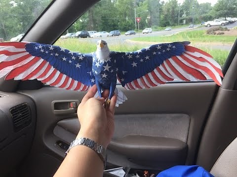 Bald Eagle Papercraft by Ikuo Anazawa