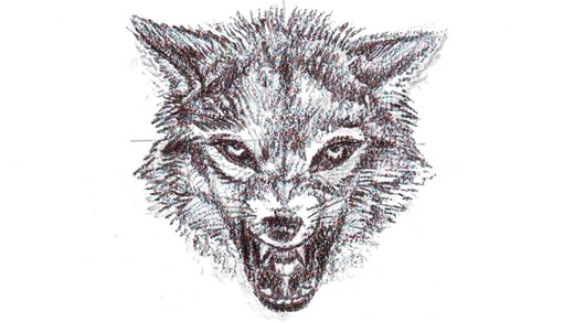 Epic wolf head drawing tutorial showing multiple perspectives and realistic detail