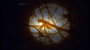 Atom: The Illusion of Reality (3 of 3)