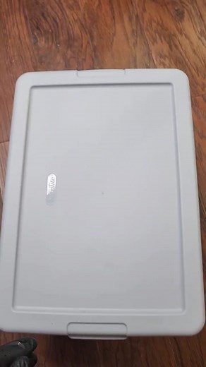 Tank Maintenance for Big Man: A Guide to Caring for Bullfrogs