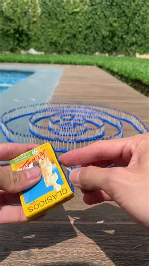 ¡Increíble Reto en la Alberca! 😱