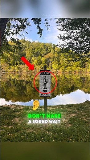 Why is Ribbit on a REAL Lake sign? 😱