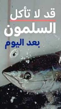 الجانب المظلم لمزارع تربية السلمون