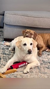 55 reactions · 4 comments | Love is all you need! #CollierDAS alumna...