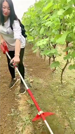 Efficient Mini Power Tiller for Easy Garden Weeding #popular #viralshorts