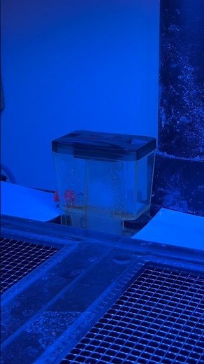 Bubble-Magus MiniQ skimmer on my Fluval Flex 32.5 saltwater reef tank