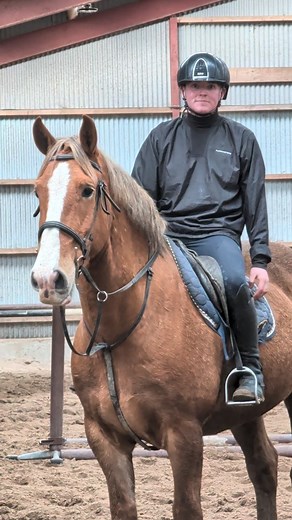 Behind the scenes 🎥 Even when there's no trekking, hacking or lessons on, there's still work going on behind the scenes. Ben is currently working with some of our new horses, making sure that they are safe and sensible to join the teams for the next season. We've got a great batch of new horses, but not a batch of great names to go along with them. Got any suggestions? | Sheans Horse Farm and Heritage Centre