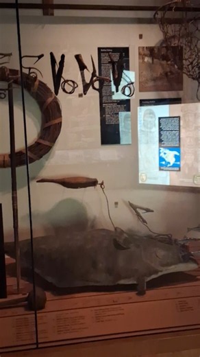 Primitive Technology Field Museum Chicago