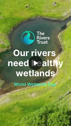#worldwetlandsday | The Rivers Trust
