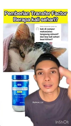 TRANSFER FACTOR to treat cats infected with panleukopenia virus or calici virus, it's EFFECTIVE, ...