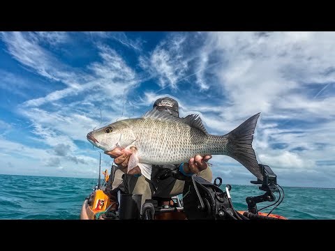 Florida Keys Fishing | Big N' Tasty (No Bait Needed!)
