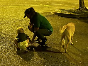 Annual survey: Number of homeless people jumps to 1,000 plus on Big Island | Big Island Now