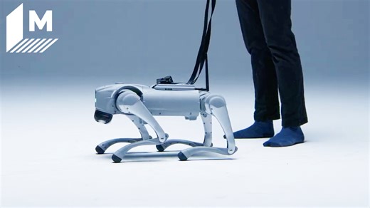 AI-powered robot dog is learning to 'live' like a human