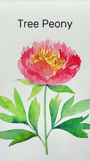 3.7K views · 232 reactions | A bright pink start for your week with a watercolor tree peony! 殺 勺 Find the full tutorial on my youtube channel Elizabeth Bostic Art! #watercolor #watercolorart #elizabethbosticart #watercolorartist #watercolortutorial #watercolorforbeginners #watercolorpainting #art #springflowers #watercolorflowers #watercolour #peonies | Elizabeth Bostic | Facebook
