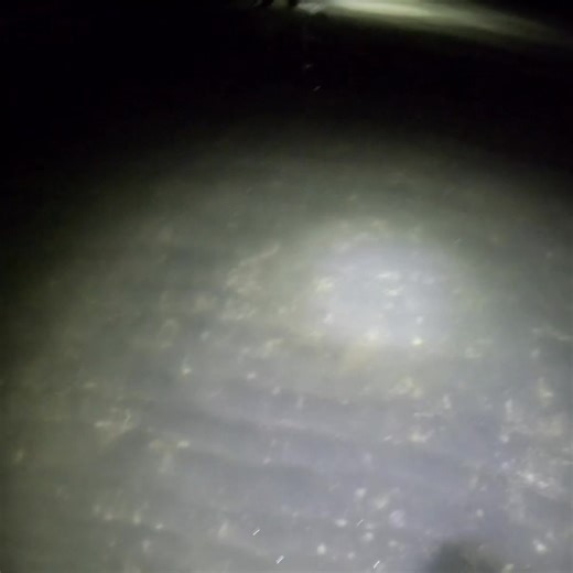 One unlucky flounder had a couple of chances of getting away. I tried to shoot it holding the GoPro in my hand didn't work out and I shot to the side of it. So I called over the mate to spare it cause it stayed there. #bowfishing #bowfishinglife #weekend #waikato #northisland #muzzybowfishing #nzlife #flounder #archery #amsbowfishing #psearchery #adventure #FlounderFishing #nz #newzealand #outthere #outtheredoingit #shootingfish #bowfish #bowfishingzone #psearchery | TopShot Bowfishing and outdo