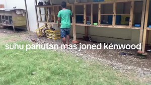 Irul Dalvik on TikTok