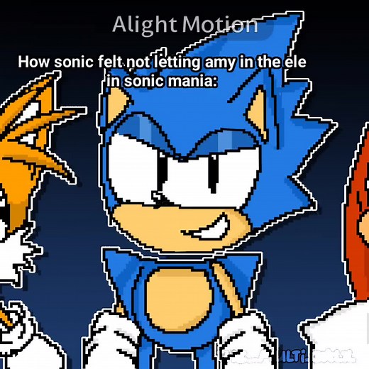 Sonic and Amy Rose Animation Fun Moments