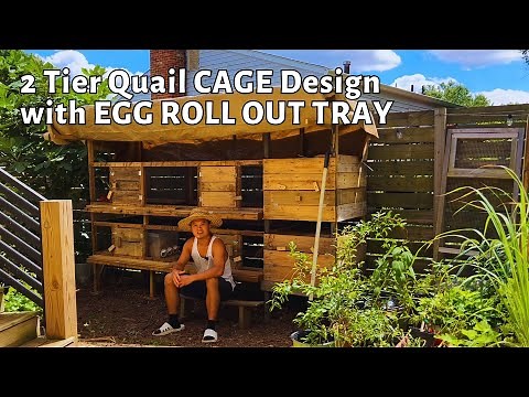 how to build quail cage hutch with egg roll out tray from pallets. EXPLAIN and DESIGN Predator proof