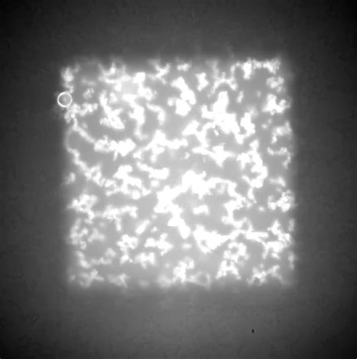Crystallization of Colloids