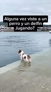 Conmovedor | Eclipse BCS