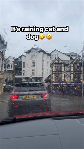 Driving to bowness Windermere to our favourite spot to eat breakfast 🥞. #champions #driving #Halloween #mondayvibes #hurricane | Katie Best