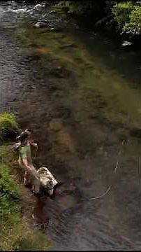 Amazing Back Country Fly Fishing in North Island New Zealand - Gareth Bayliss