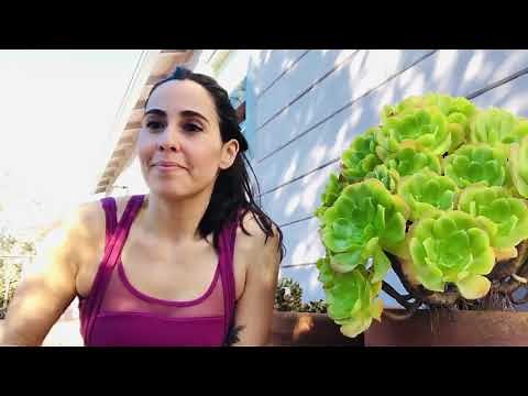 Backyard Vitality: 10-Minute Outdoor Express Workou