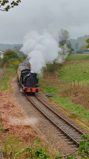 2.5K views · 54 reactions | Combine a ride on a steam train from Haverthwaite Station with a cruise on a 'steamer' from Lakeside Pier to Bowness. Try our Yellow Cruise & Steam Train ticket and steam into Lakeland. #lakesiderailway #windermere #steamtrain | Windermere Lake Cruises | Facebook