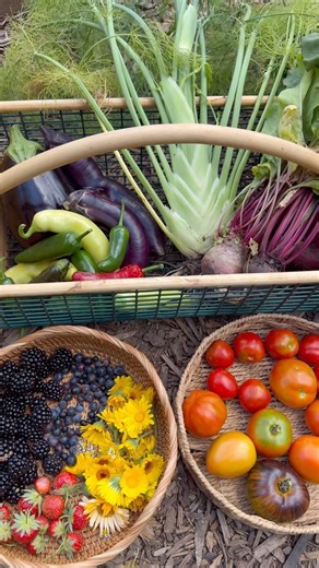 315K views · 10K reactions | A June garden harvest 狀 Varieties...