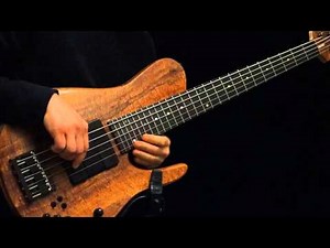 Melodic Bass Solo - 'What the Storm Brought'