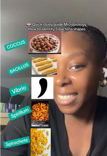 ‼️Microbiology Study Guide: Identify 5 bacteria shapes! Let us know if this helped you in the comments! #prenursing #microbiology #nursingstudents #premed #nursetok