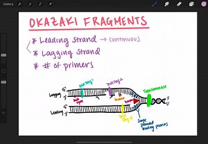 What are Okazaki fragments and how they are formed? a. Okazaki fragments are short stretches of DNA on the lagging strand, which is synthesized in the direction away from the replication fork. b. Okazaki fragments are long stretches of DNA on the lagging strand, which is synthesized in the direction of the replication fork. c. Okazaki fragments are long stretches of DNA on the leading strand, which is synthesized in the direction away from the replication fork. d. Okazaki fragments are short str