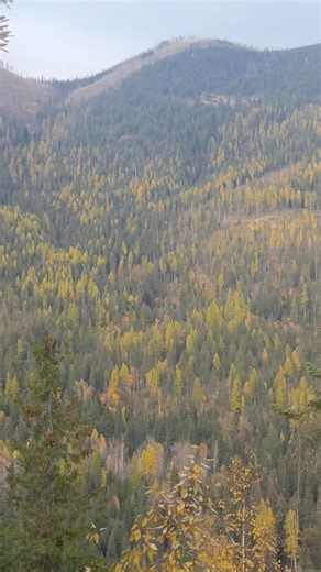 Debbie Jackson on Reels