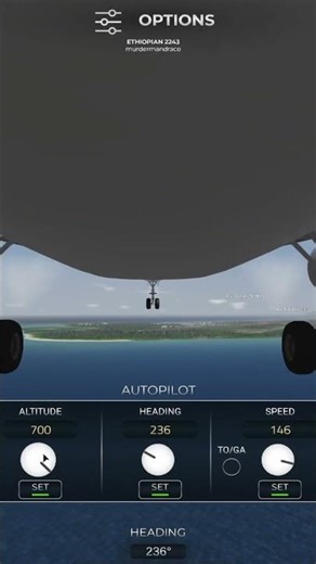 Can YOU land only using AUTOPILOT in Project Flight?