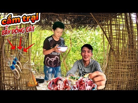 Cắm trại đặt bẫy dông cát,sống nơi hoang dã (P2) | Camping, trapping sand lizards, in the wilderness