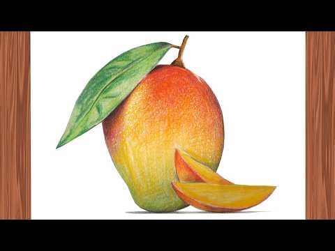 Mango Drawing🥭 | How to draw a Mango step by step for beginners | Fruits Drawing Tutorial