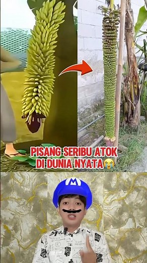 Pisang Seribu Atok Di Dunia Nyata Endingnya Bikin Kaget😭 #shorts #upinipin #animasi