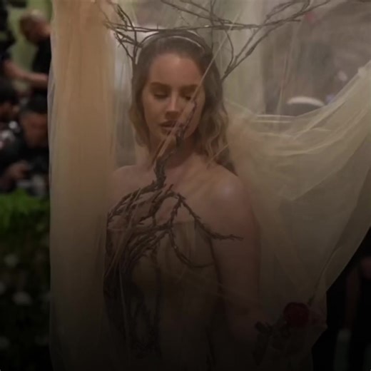 All About Cherry: A Sweet and Versatile Fruit