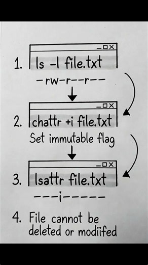 This Linux Trick Makes Files Impossible to Delete 🔒#shorts #shortsfeed