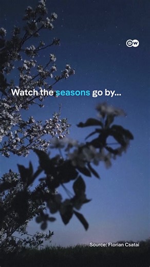 Capturing the Night Sky Through the Seasons