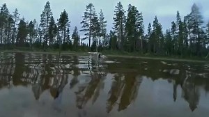 110K views · 169 reactions | Pretty sure we inhale S'mores the same way. | Outdoors.com | Facebook