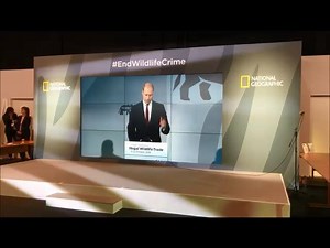 “It is heart-breaking to think that by the time my children, George, Charlotte and Louis, are in their 20’s, elephants, rhinos and tigers might well be extinct in the wild. “I for one am not willing to look my children in the eye and say that we were the generation that let this happen on our watch.” Prince William Clips from this morning’s powerful opening speech by HRH the Duke of Cambridge. David Shepherd Wildlife Foundation at the Illegal Wildlife Trade Conference, London #EndWildlifeCrime #
