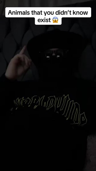 Alien squid 🦑found underneath an oil rig #foryoupage #foryoupageofficiall #xyzbca #viral #scary #squid #aliensquid