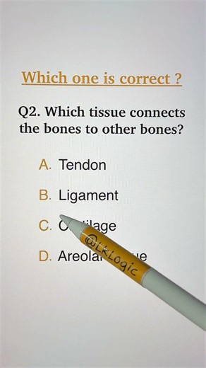 Which tissue connects bones to other bones?