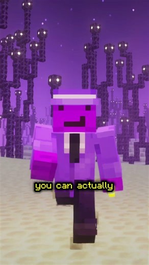 SECRET WAY TO GET ELYTRA in Minecraft