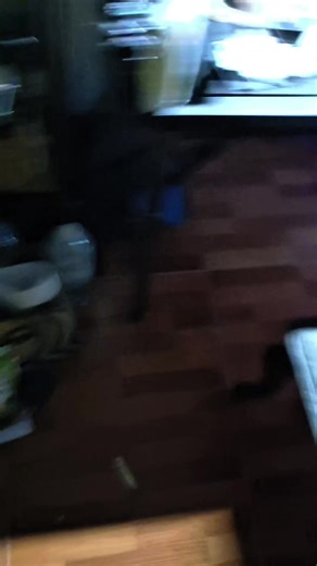 iPhone 7 Jailbreak: Unlock Your Device's Potential