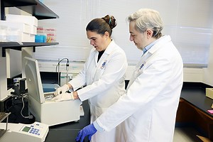 UF scientists discover key differences in male and female responses to stress in the brain »  College of Pharmacy » University of Florida