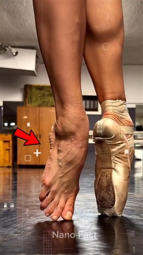 How Ballet Dancers Stand On Their Toes #shorts #facts #youtubeshorts