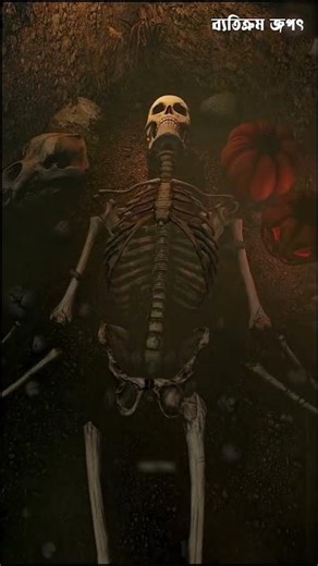 Which seat is the safest on a plane? #plane #shorts