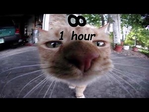 One Bad Gloop (1 hour perfect loop)